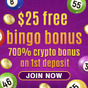 Cyber Bingo| $25 Free Bingo Bonus | Gambling City